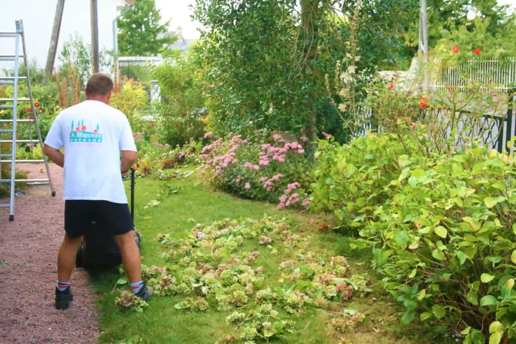 Paysagiste à poitiers taille de haies à Poitiers