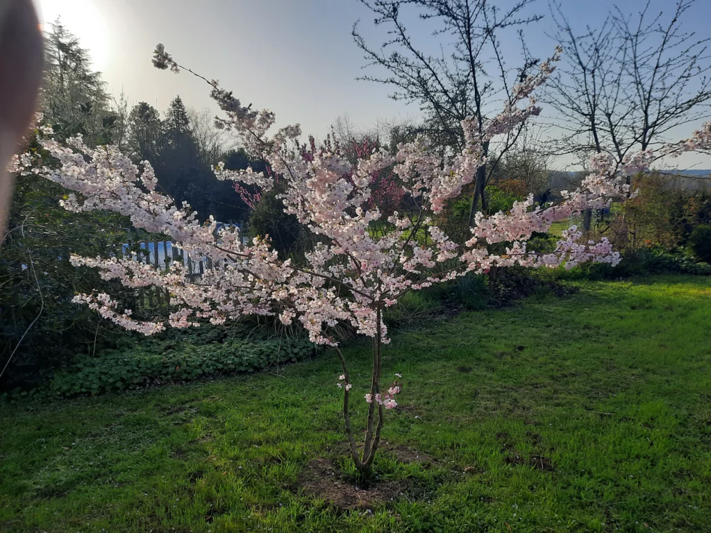 entretien jardin à poitiers
