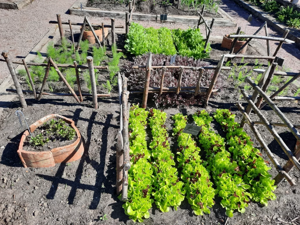 jardinier en vienne