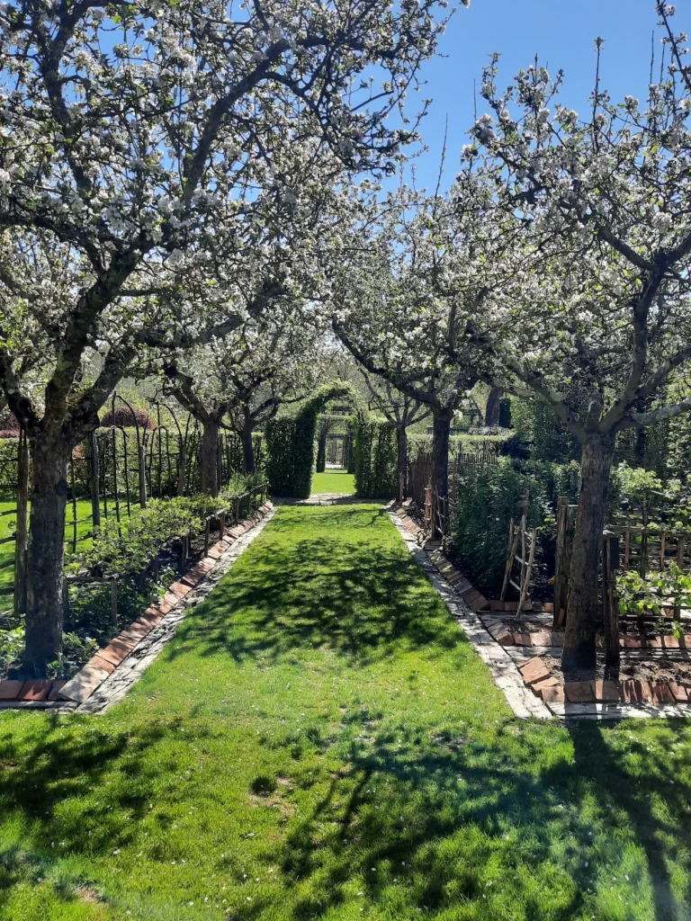 entretien jardin en vienne