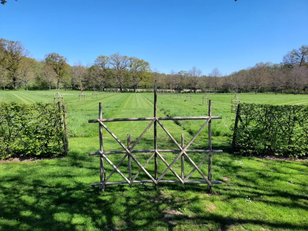 entretien jardin à poitiers