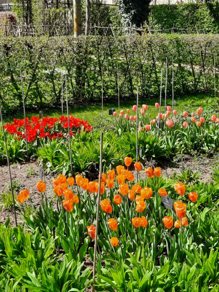 jardinier à poitiers